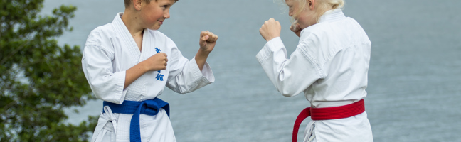 Børnehold - karate