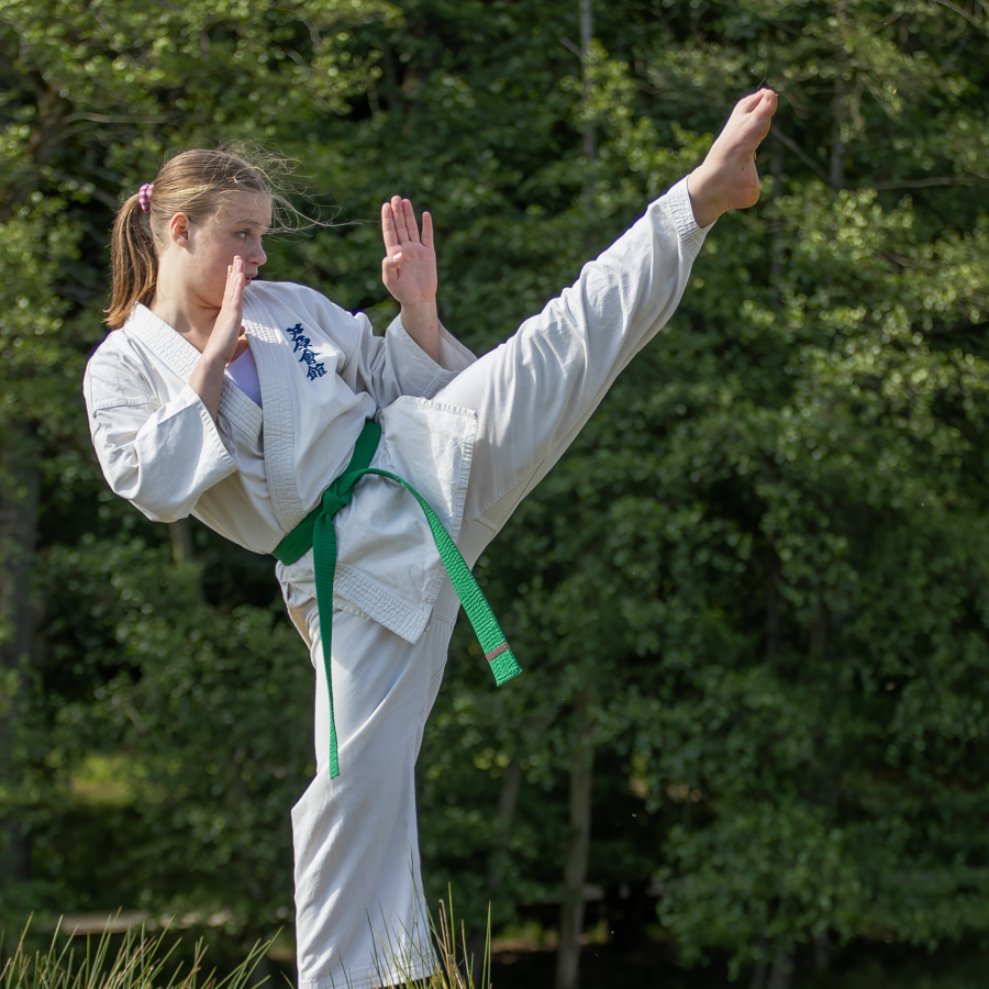 Introtræning: Juniorhold